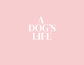 🐶 Dog Photo Book - Template