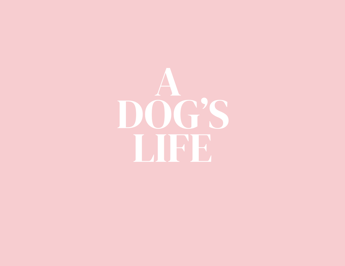 🐶 Dog Photo Book - Template