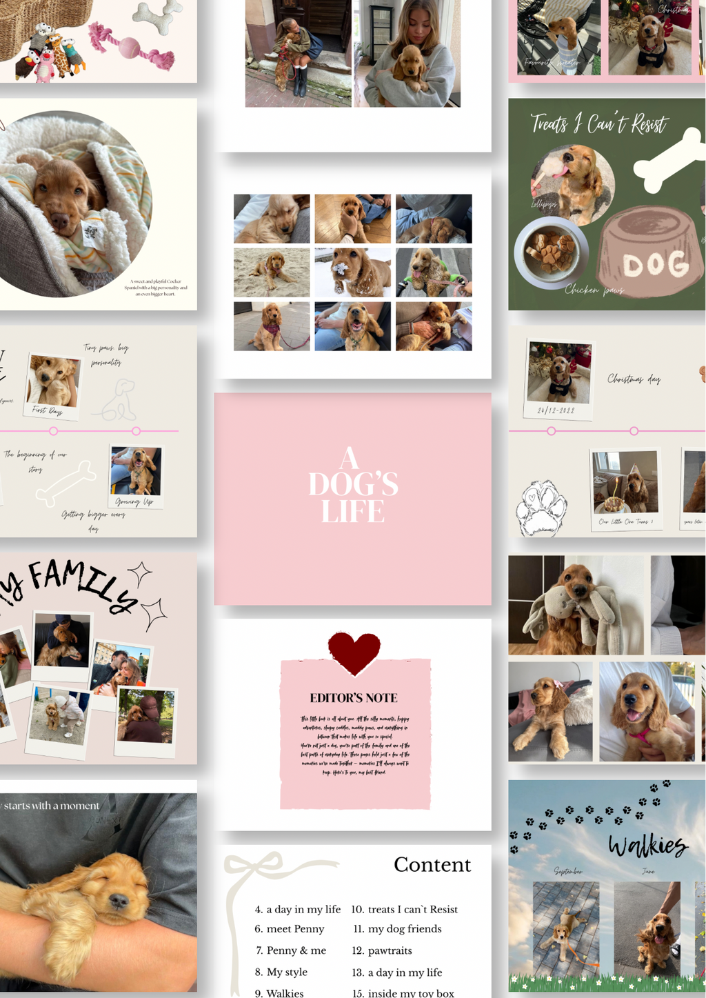 🐶 Dog Photo Book - Template